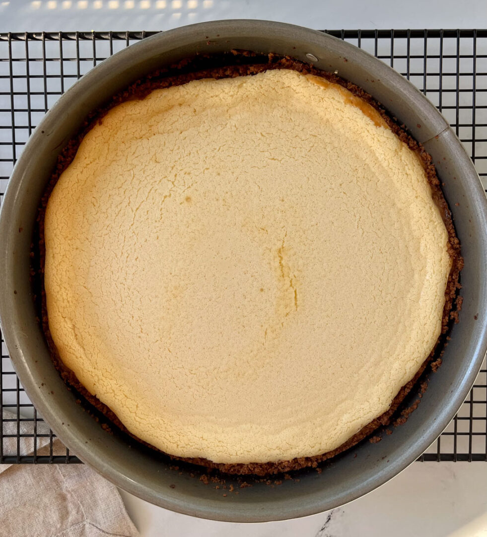 Easy Mexican Cheesecake Recipe With Dulce De Leche - joinmeinthekitchen.com