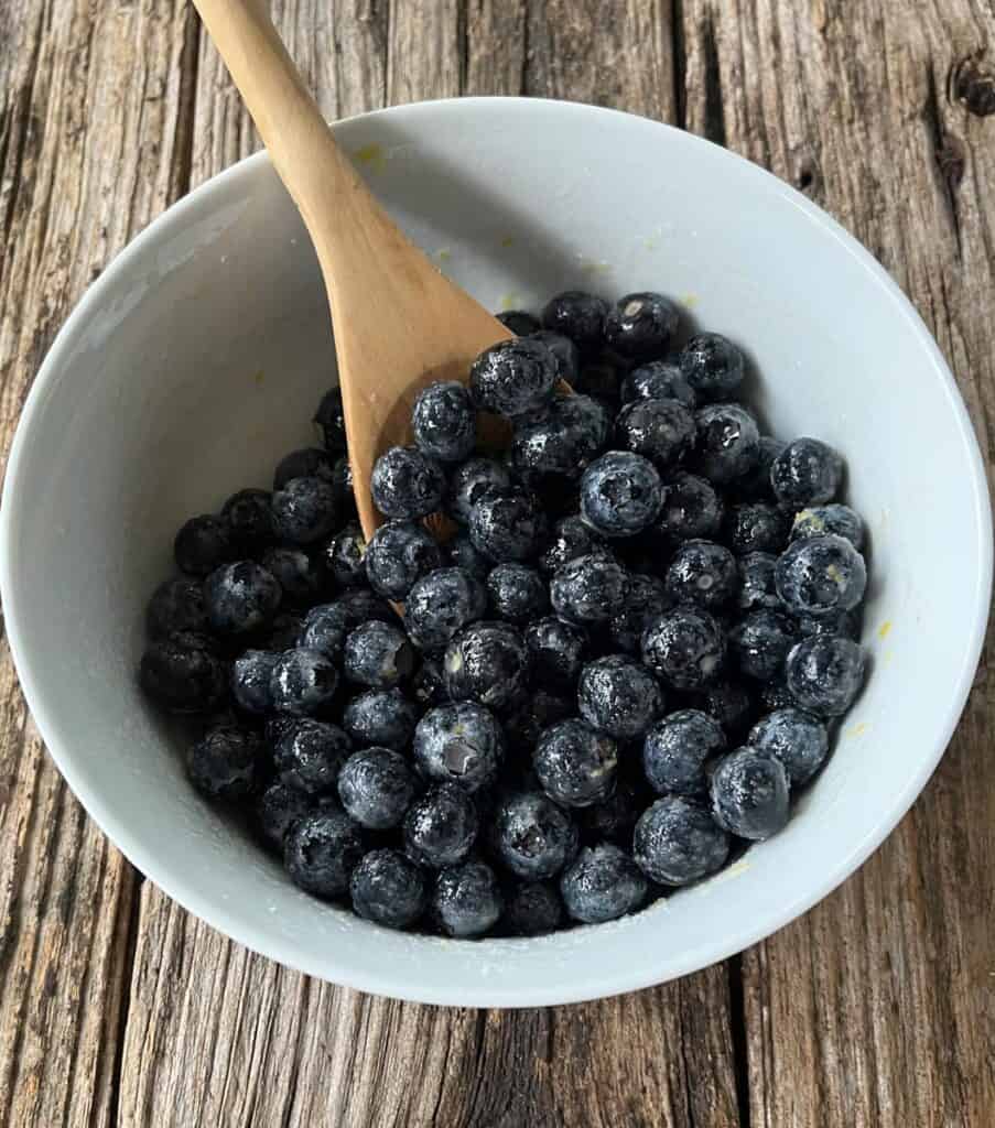 Blueberries in a bowl.
