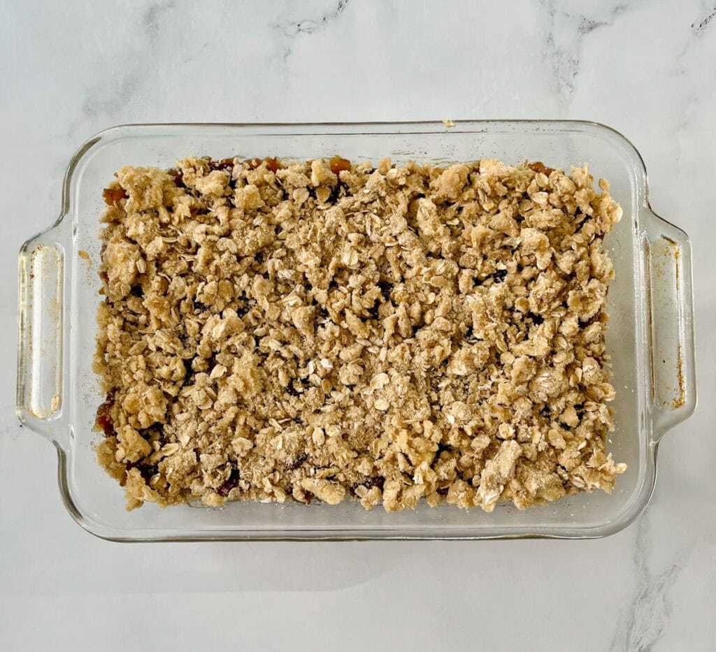 A baking dish filled with oatmeal and dates.
