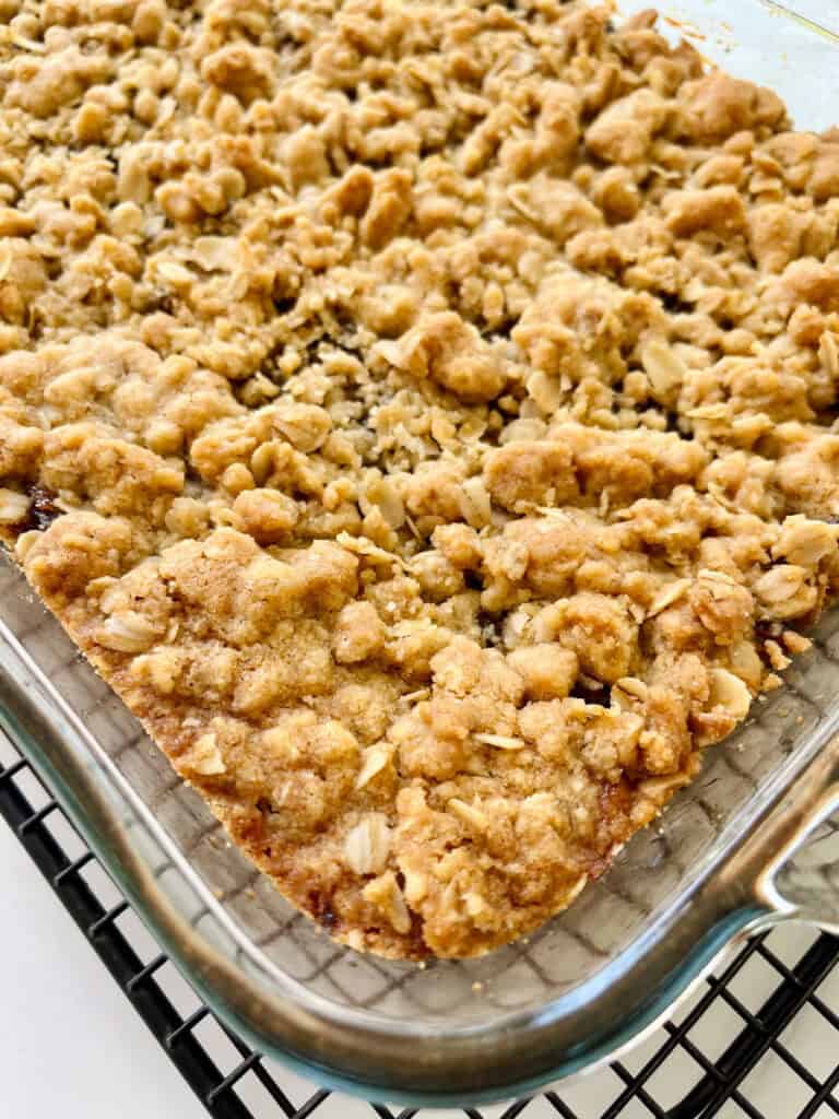A baking dish filled with oatmeal and date bars.
