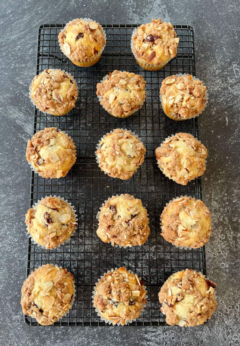 InLinkz 400 Senior Salon Pit Stop