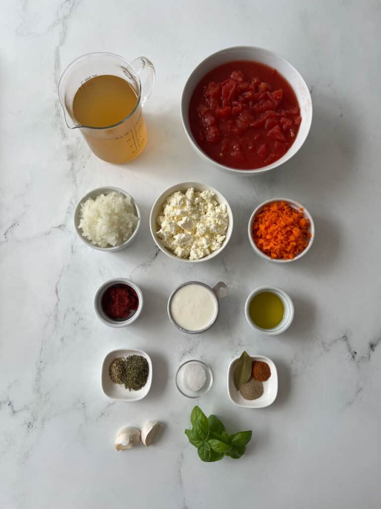 Ingredients for homemade tomato soup including tomatoes, garlic, herbs, and spices.